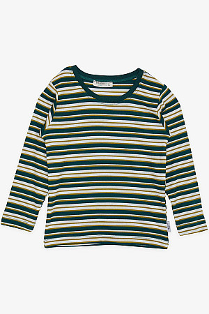 Erkek Bebek Uzun Kollu Tişört Renkli Çizgili Koyu Yeşil (9 Ay-3 Yaş)