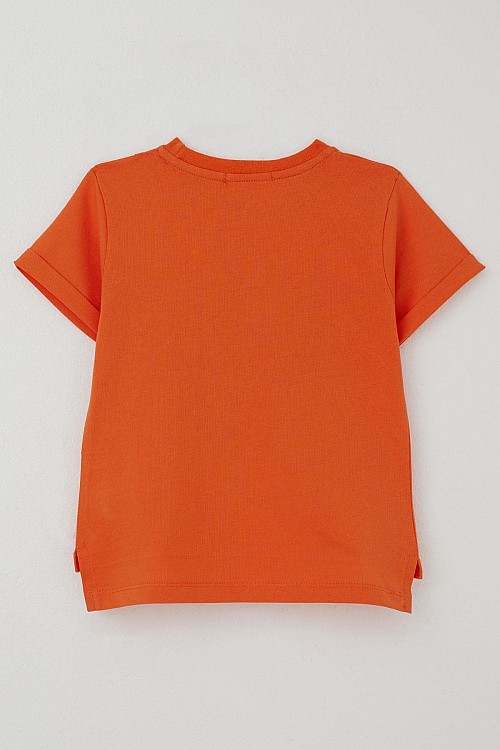 Erkek Çocuk Tişört Lig Yıldızı Dinozor Baskılı Turuncu (2-6 Yaş)