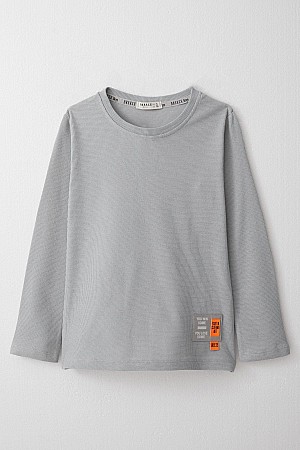 Boy Long Sleeve T-Shirt with Emblem Light Grey (7-11 Years)