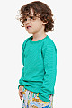 Erkek Çocuk Uzun Kollu Tişört Çizgili Yeşil (3-7 Yaş)