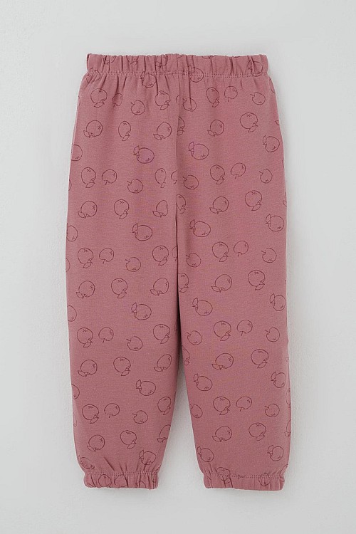 Kız Bebek Pijama Takımı Tatlı Elmacık Rüyası Gülkurusu (9 Ay-3 Yaş)