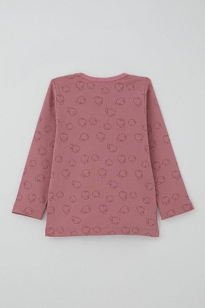 Kız Bebek Pijama Takımı Tatlı Elmacık Rüyası Gülkurusu (9 Ay-3 Yaş)