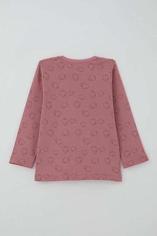 Kız Bebek Pijama Takımı Tatlı Elmacık Rüyası Gülkurusu (9 Ay-3 Yaş)