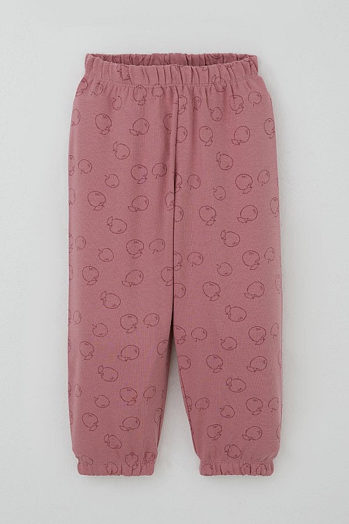 Kız Bebek Pijama Takımı Tatlı Elmacık Rüyası Gülkurusu (9 Ay-3 Yaş)