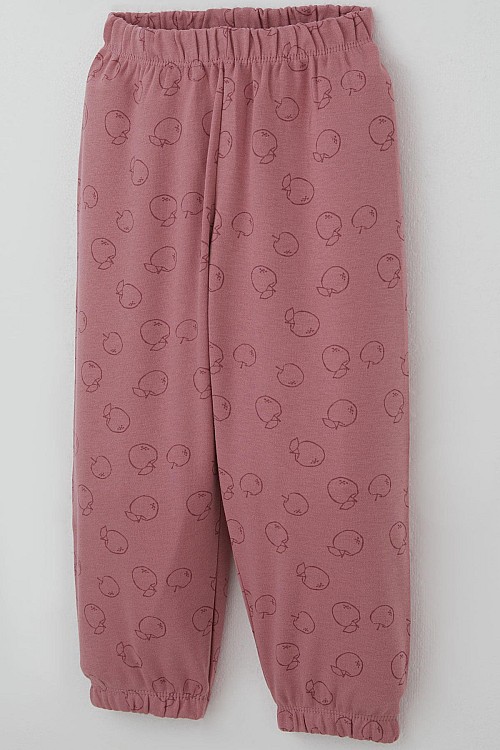 Kız Bebek Pijama Takımı Tatlı Elmacık Rüyası Gülkurusu (9 Ay-3 Yaş)