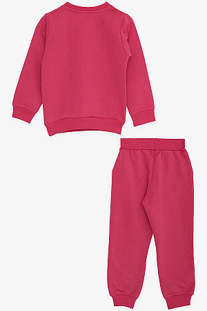 Girl&#39;s Tracksuit Set, Cute Bunny Printed Fuchsia (9 Months-3 Years)